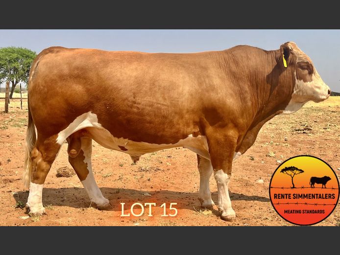 SUI229 | RENTE SIMMENTALER