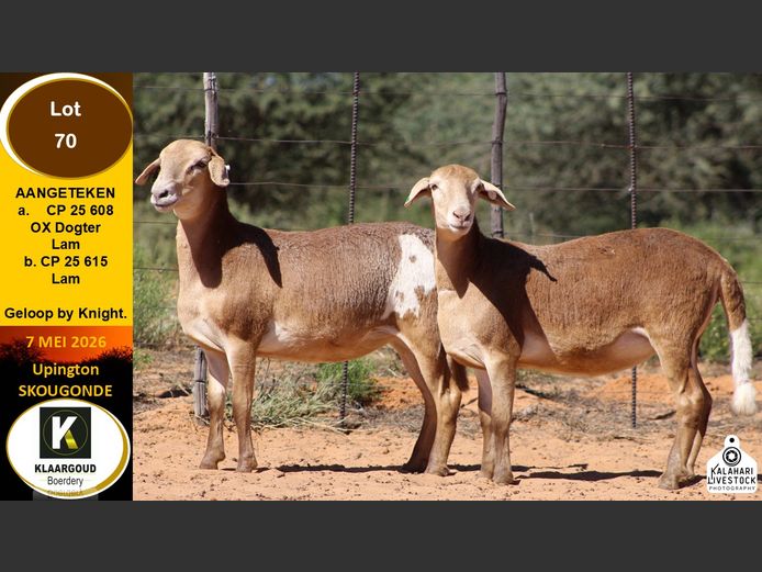 CP 25 608 | KLAARGOUD BOERDERY