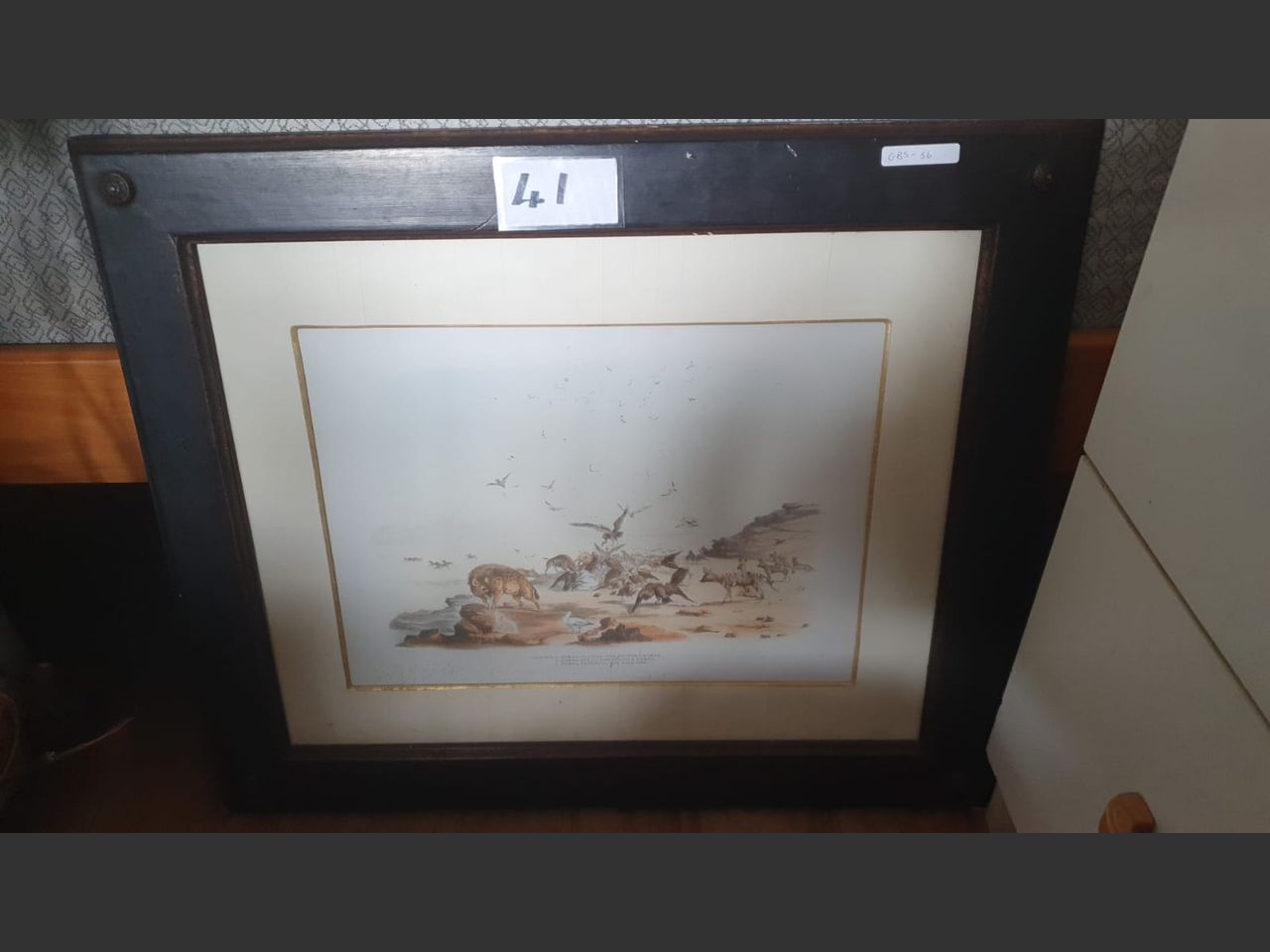 images