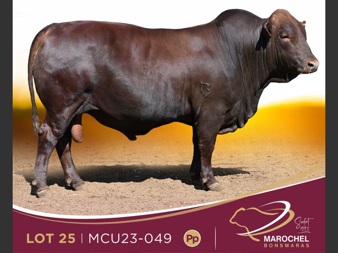 MCU 230049
