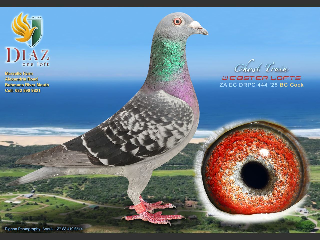 images