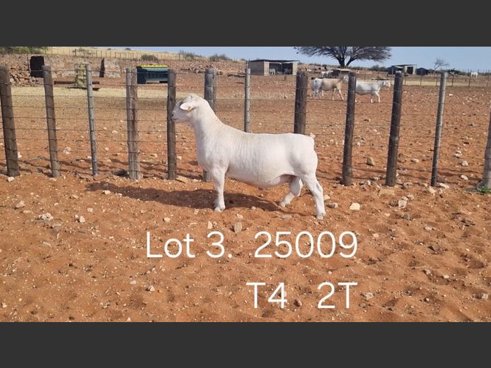 916250009W | R.J. CAHI & SON CC