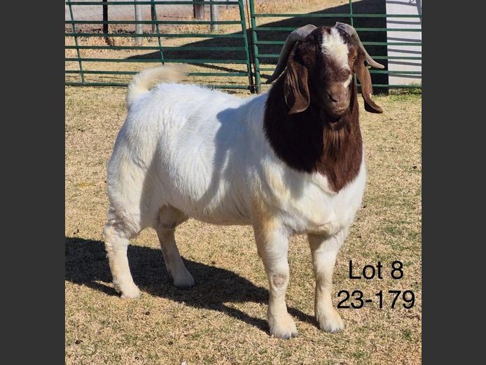 230179 | DU PREEZKRAAL