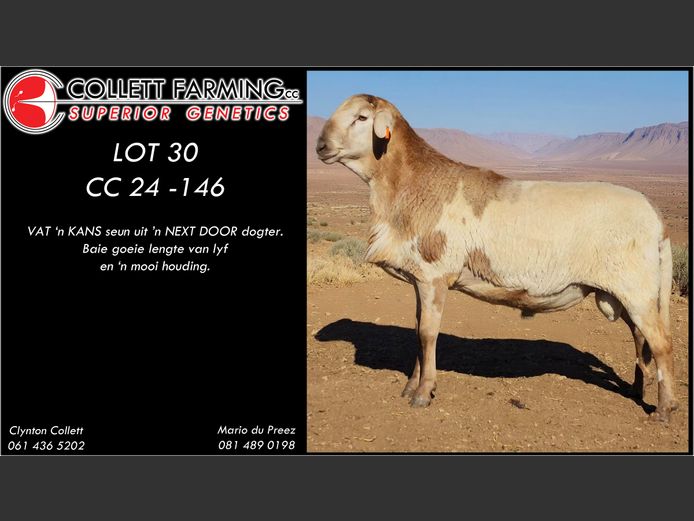 CC 240146 | COLLETT FARMING CC