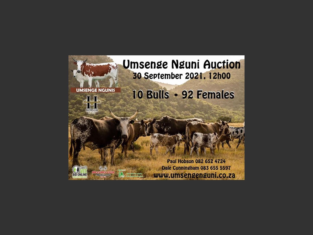 UMSENGE NGUNI AUCTION | SwiftVEE | South Africa’s Leading Online ...