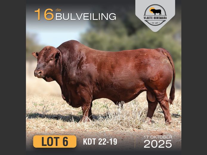 KDT 220019 | J.P.F. DU TOIT