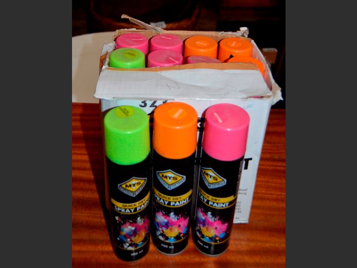 LOT: 12 x TINS SPRAY PAINT