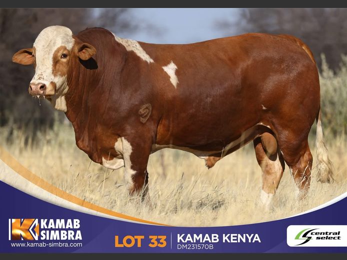 DM231570B | KAMAB SIMBRA