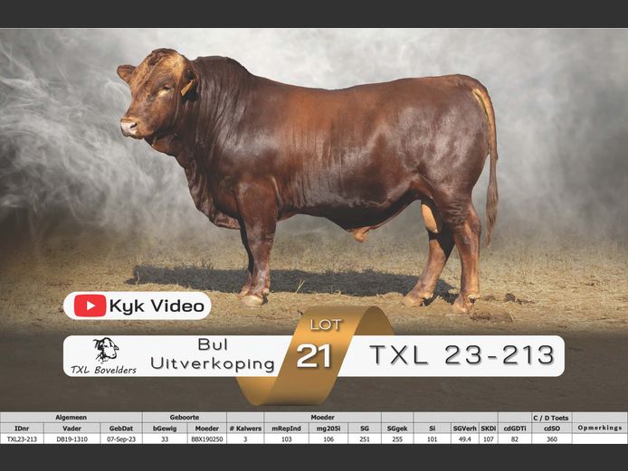 TXL23-213