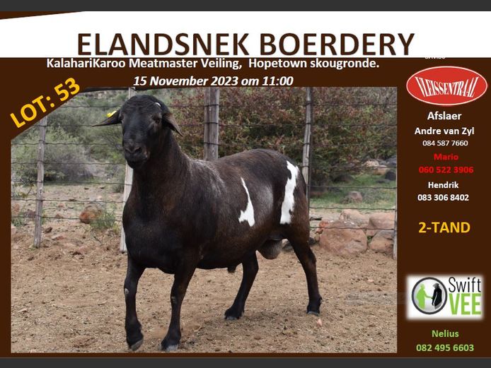 RSL GR 194 | ELANDSNEK BOERDERY