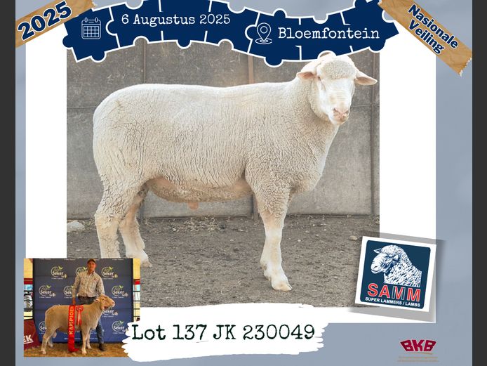 23-0049JK | DE JAGER J P