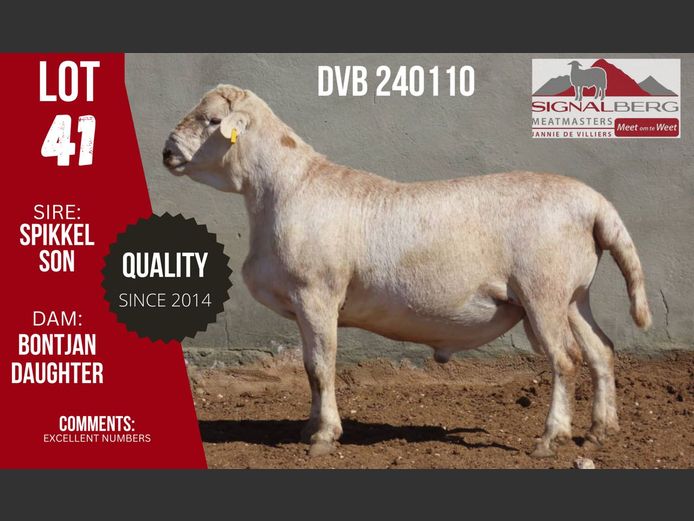 DVB 240110 | SIGNALBERG MEATMASTERS