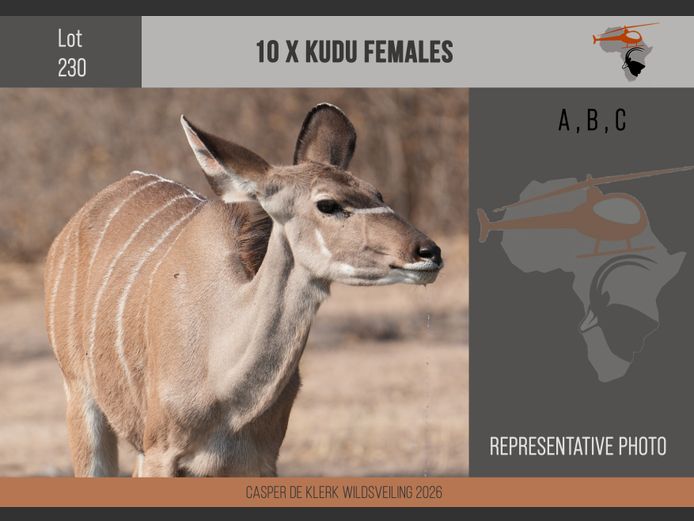 Kudu