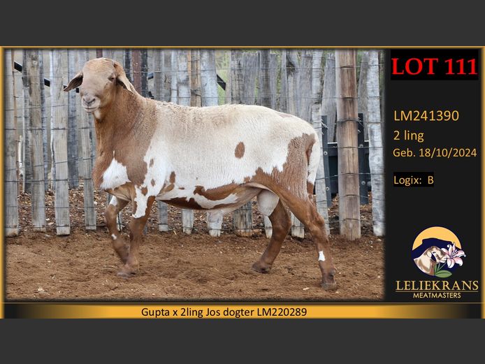 LM241390 | LELIEKRANS MEATMASTERS