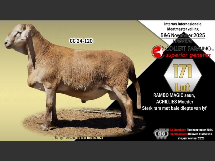 CC24-120 | SUPERIOR GENETICS