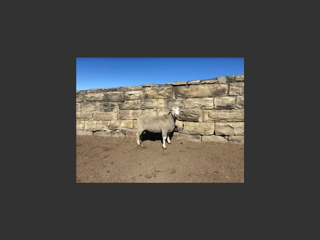 images