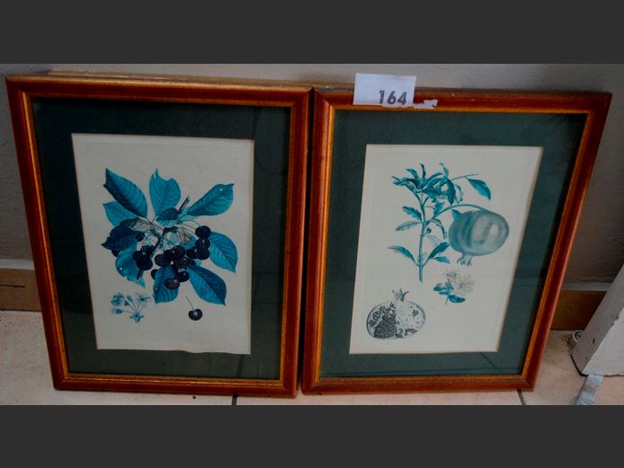 PAIR GILT FRAMED BOTANICAL PRINTS, 32 x 22cm & 36.5 x 29cm [Glass cracked]