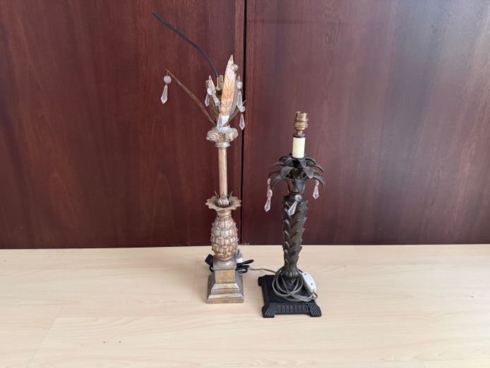 2 x Lamps - Needs Fittings and Plug 