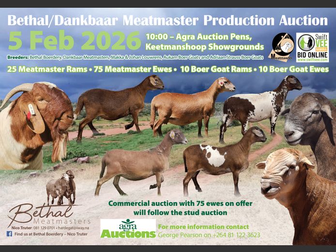 BETHAL & DANKBAAR MEATMASTER PRODUCTION AUCTION