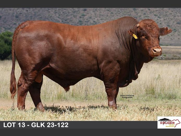 GLK 230122 | KRUGER GLEN BONSMARAS