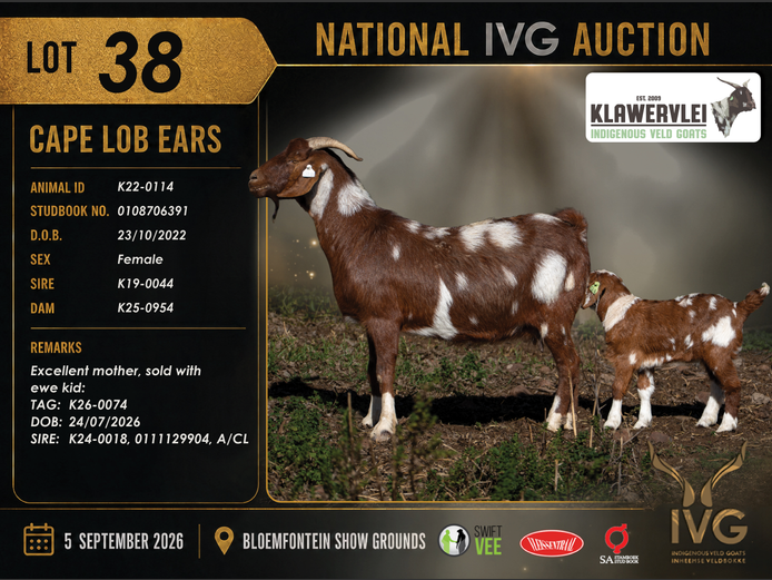 K22 - 0114 | Klawervlei Stud