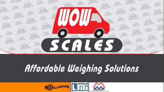 WOW Scales