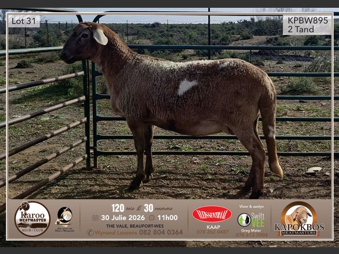 KPBW 895 | Wynand Lourens - Kapokbos Meatmasters