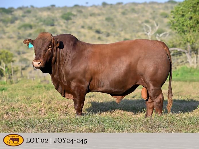 JOY240245 | FETTING LIVESTOCK TRUST