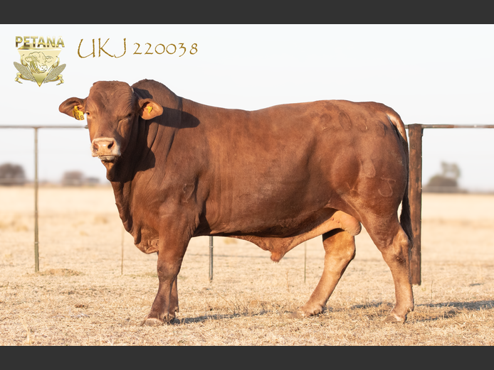 UKJ 220038
