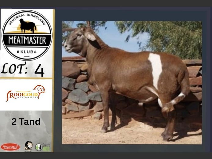 491 | Rooigoud Meatmasters