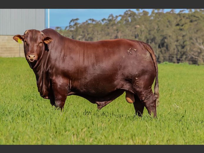 KT  220025 | KOCH FAMILIE TRUST