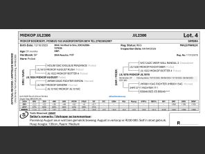 genetic_data