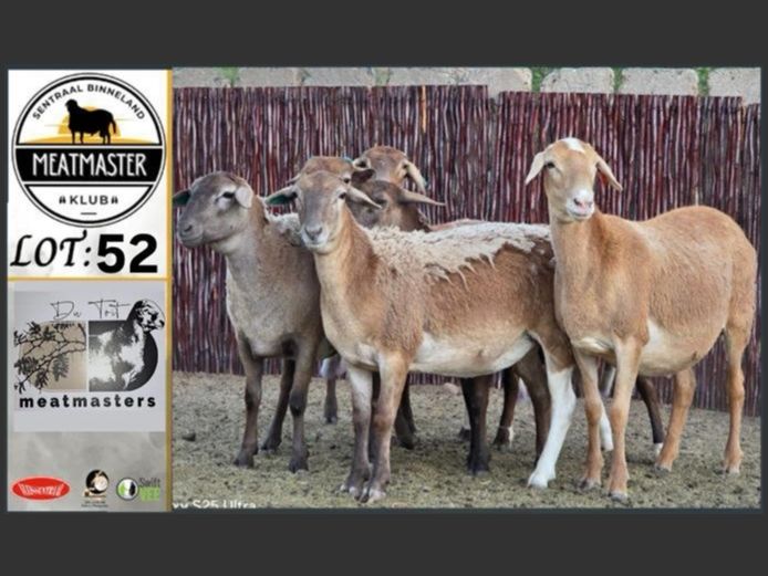 Ooie | Du Toit Meatmasters