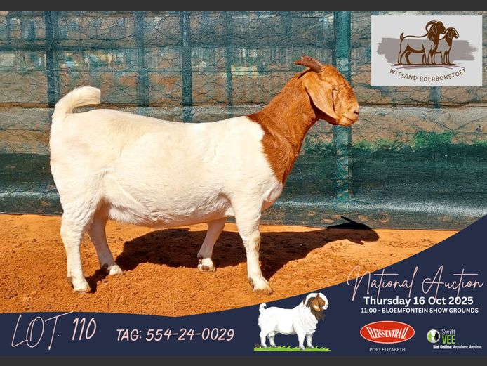 554-24-0029 | Hennie Le Roux (Witsand Boerbokstoet)