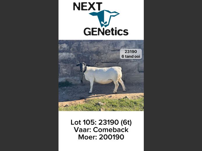 23190 | NEXT GENETICS