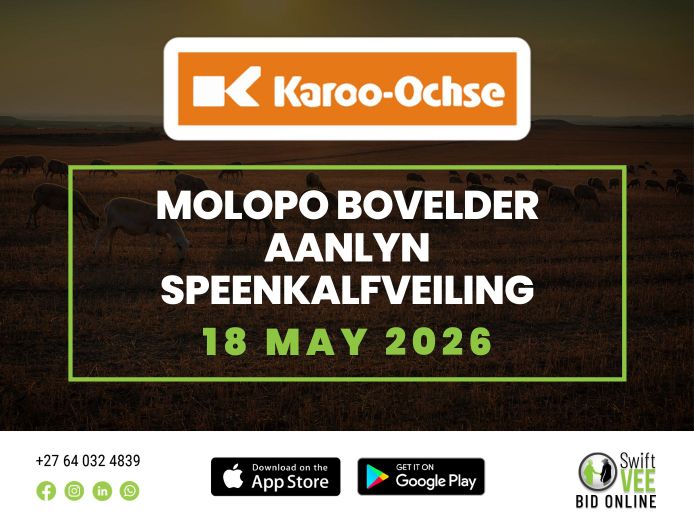 MOLOPO BOVELDER AANLYN SPEENKALF VEILING