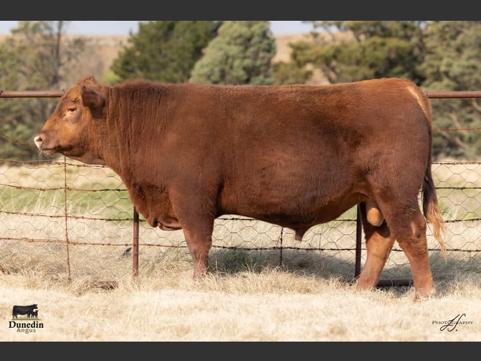 KCM 230042 | TABLE HILL FARMING PTY LTD