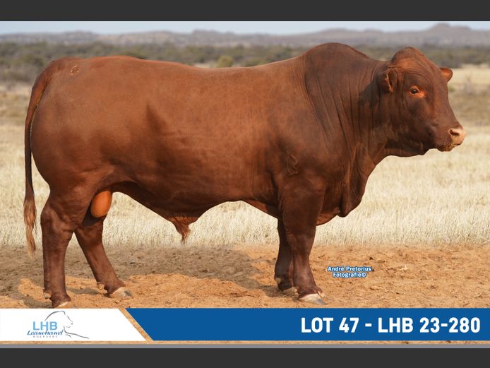 LHB230280 | LEEUHEUWEL BOERDERY (EDMS) BPK