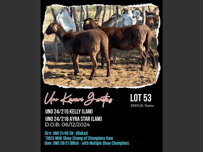 24-0215UNO | 24-0216UNO | UNO KAVARI GENETICS