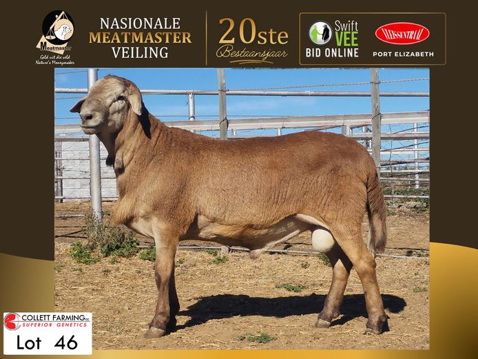 CC 250011 | COLLETT FARMING CC