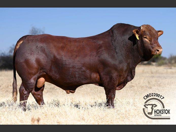 CMO 220017 | WILDEHONDEPAN TRUST