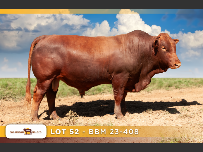 BBM 230408