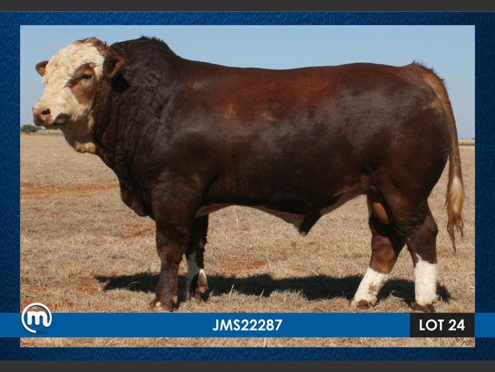 JMS22287