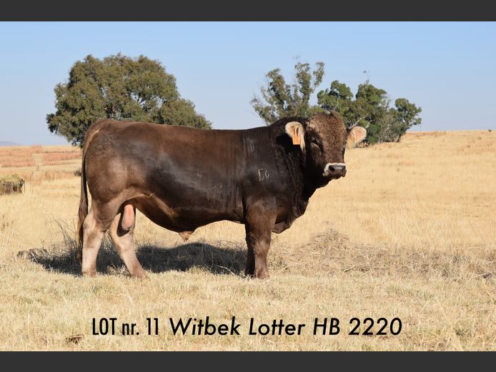 HB 220020 | JJ BESTER EN DOGTERS