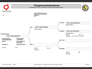 genetic_data
