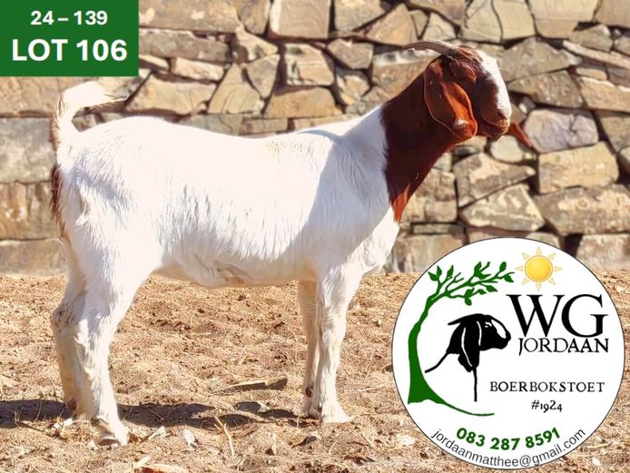 240139 | WG JORDAAN BOERBOKSTOET