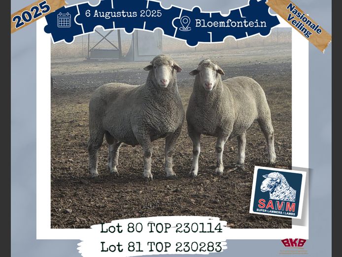 23-0114TOP | PRETORIUS SD