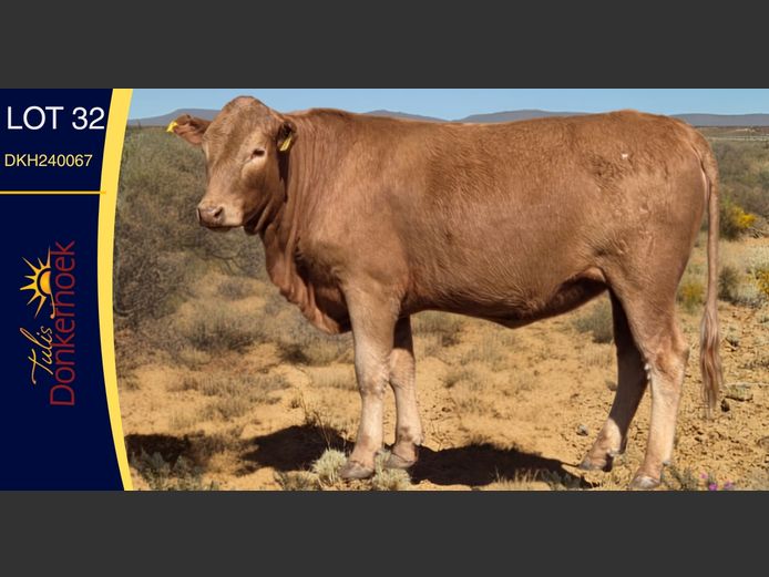 DKH240067 | DONKERHOEK BOERDERY TRUST