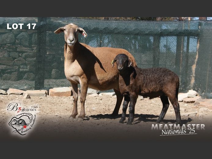 BBB 21 0238 | Charles Freeme - B3genetics Pty Ltd