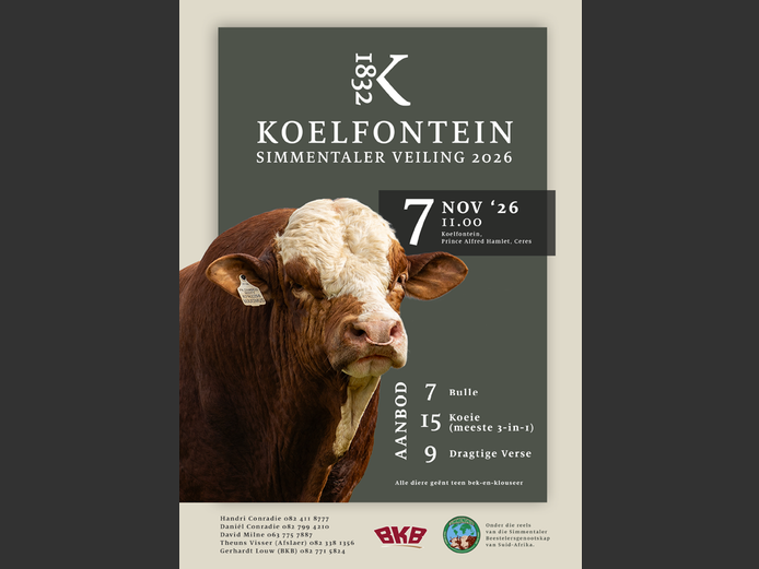 KOELFONTEIN SIMMENTALER VEILING 2026